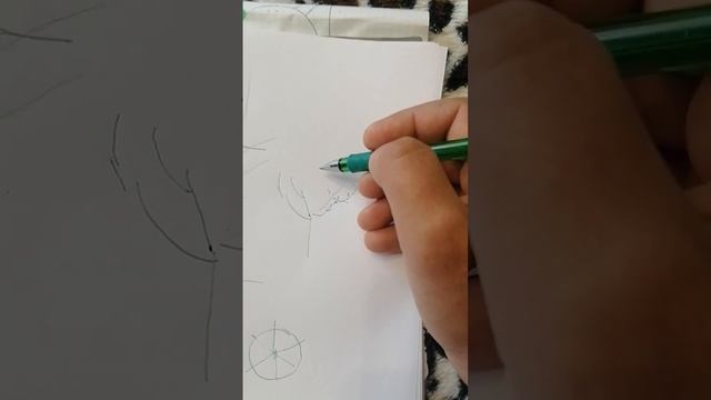 Как сформировать плодовое дерево в первый год после посадки. Формировка скелетных веток смотреть онлайн