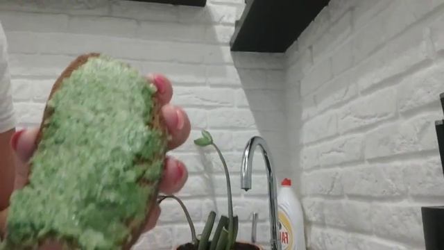 Кулинарная студия с Алиной