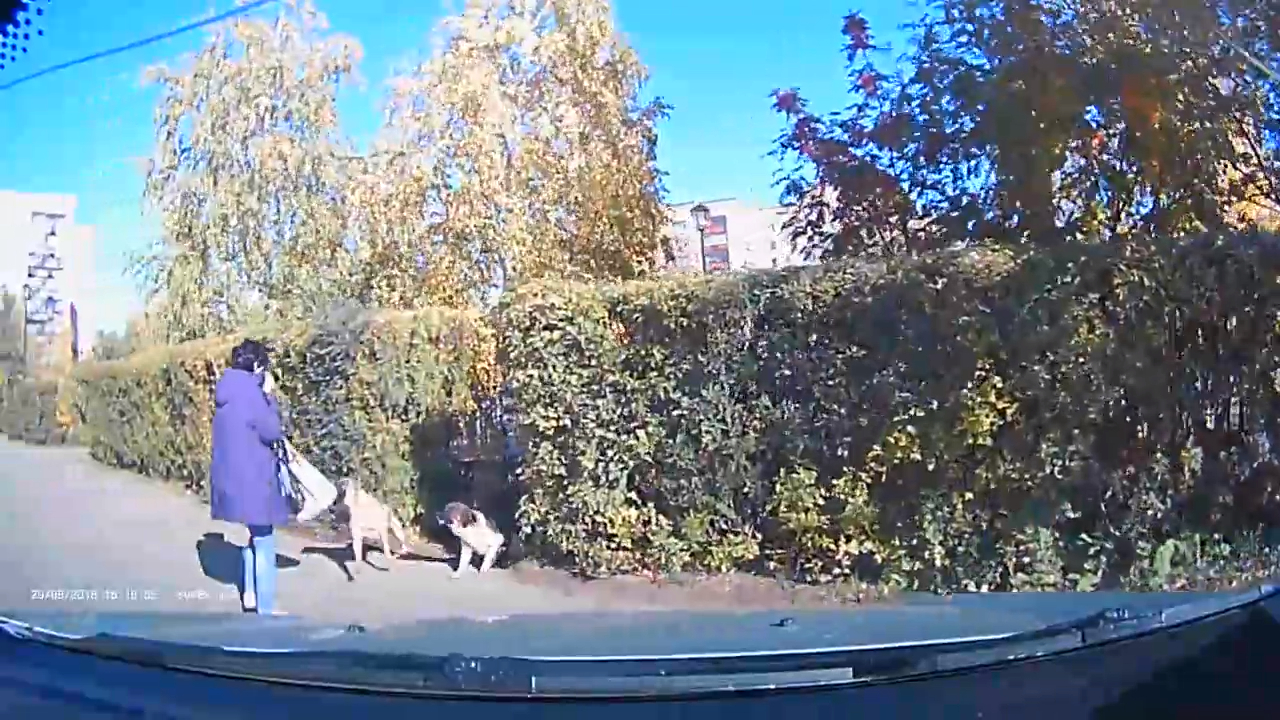 Автомобилист помог женщине смотреть онлайн