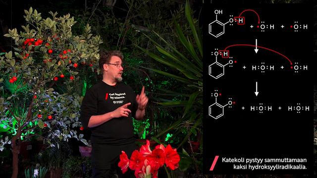 Luonnollista kemiaa: Antioksidantit смотреть онлайн