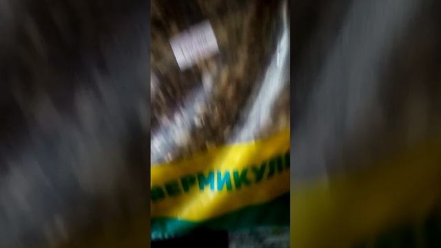 Вермикулит и семена колокольчиков. смотреть онлайн