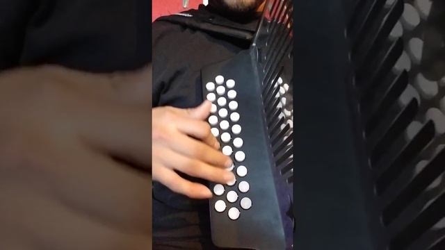 Grupo Delta- Los Toys instruccional accordion смотреть онлайн
