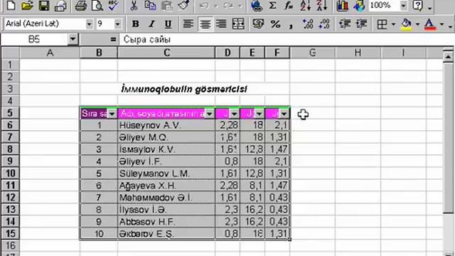 Microsoft Excel 2003 Azərbaycanca - Dərs 7.1 Siyahının analizi üçün filtirlərin istifadə edilməsi смотреть онлайн
