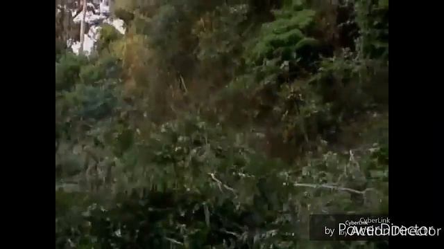 Никола Николов, клип смотреть онлайн