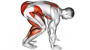 Утренняя Растяжка для Бегунов