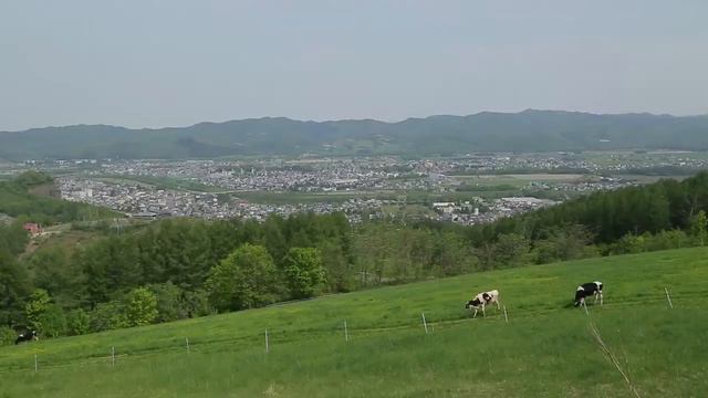 A trip to Engaru in Hokkaido – Moss phlox at a little-known park and a farm with Swiss-like views смотреть онлайн