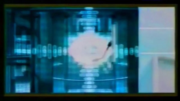 TIMO MAAS ФАКТЫ