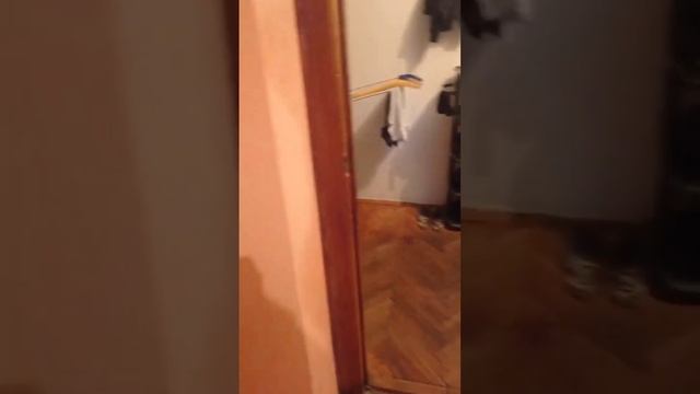 Обработка хостела от тараканов и клопов часть1 смотреть онлайн