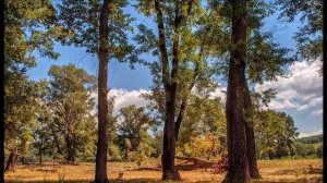 Мы в жизни встретились- Вилли Токарев