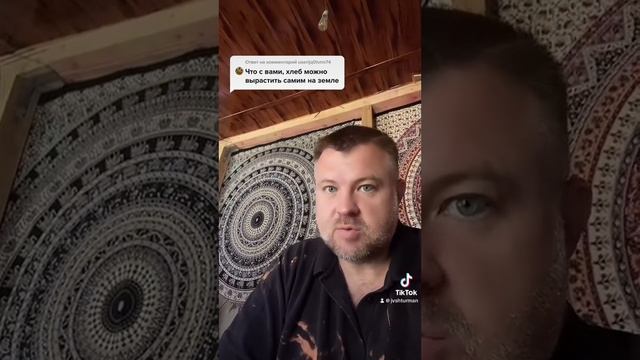 Кто сможет вырастить хлеб?