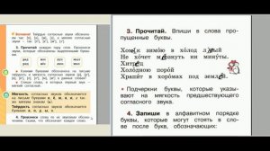 Русский язык рабочая тетрадь 1 класс упражнение 3 страница 43