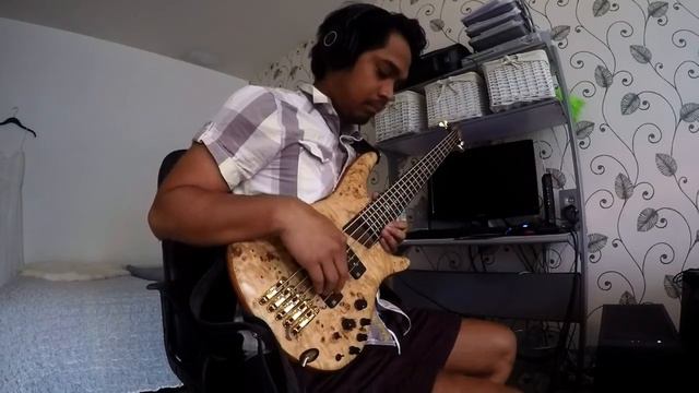 Ibanez SR 1605 NTF + tc electronics ditto looper + irig смотреть онлайн