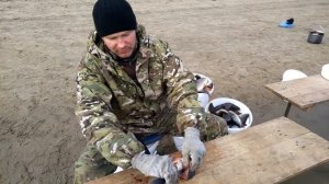Быстрая разделка окуня