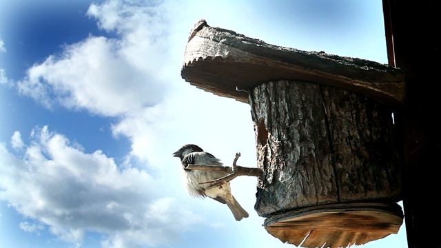 Музыка, лечащая сердце и сосуды - Музыка успокаивает, успокаивает нервную систему и радует душу смотреть онлайн