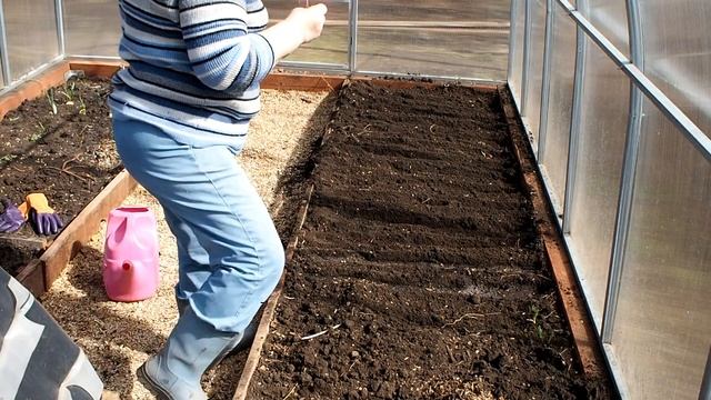 Редиска в теплице. Посадка и выращивание редиски смотреть онлайн