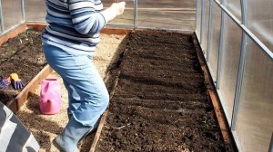 Редиска в теплице. Посадка и выращивание редиски