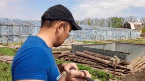 Что нужно делать чтобы дождевой червь не утаскивал рассаду в порниках