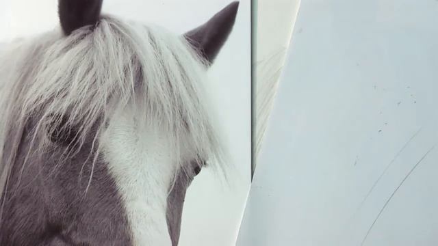 Drawing a Horse: How to Capture "Stray" Hairs in the Mane! смотреть онлайн