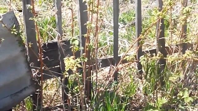 Дачные рассказы! смотреть онлайн