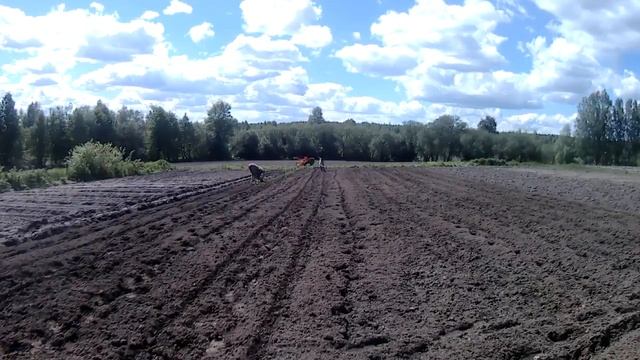 Кентавр 1081Д фрезерование под помидоры. смотреть онлайн