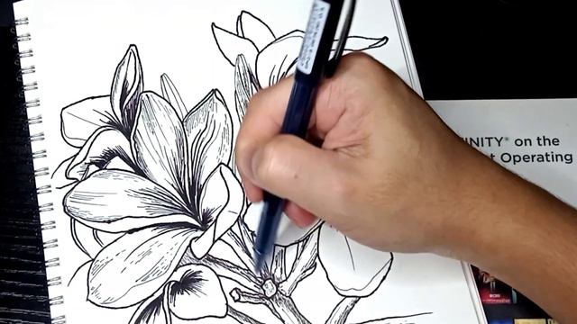 Frangipani (Plumeria Black and White) смотреть онлайн