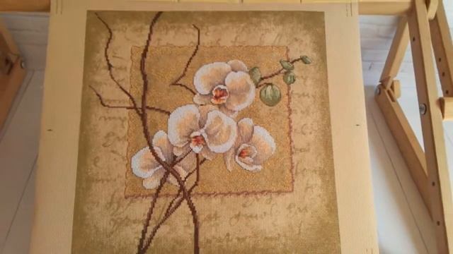 Сп "Любимый Dimensions" Dimensions 35176 Восточные орхидеи (Oriental Orchids) завершенная работа смотреть онлайн