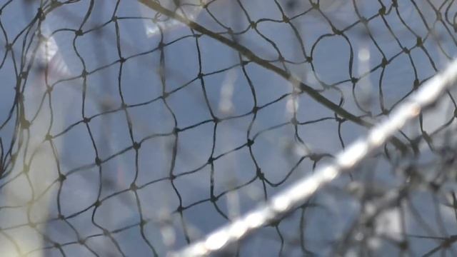 ВЕСЕННЯЯ РЫБАЛКА НА ПОПЛАВОК! Рыбалка на поплавок в апреле! смотреть онлайн
