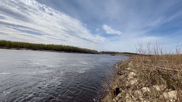 Майская рыбалка на реке Надым Выходной день! смотреть онлайн