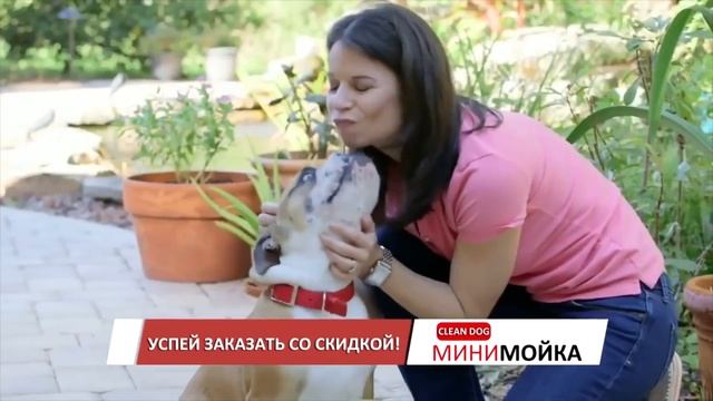 Обзор лапомойки для собак - Clean Dog. Уход за лапами собак смотреть онлайн