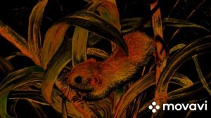 В.Бианки "Мышонок Пик.Хвост-цеплялка и шёрстка-невидимка"/сундучок сокровищ