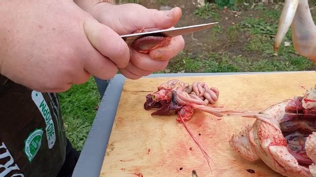 ГДЕ ЧЕРВИ ПРЯЧУТСЯ В КУРАХ ! смотреть онлайн