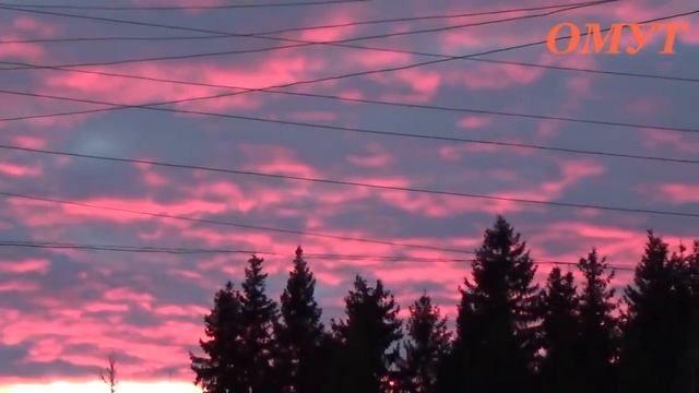 171. СПАСЁМ СЕБЯ САМИ...ВСЕМ ДОБРА... смотреть онлайн