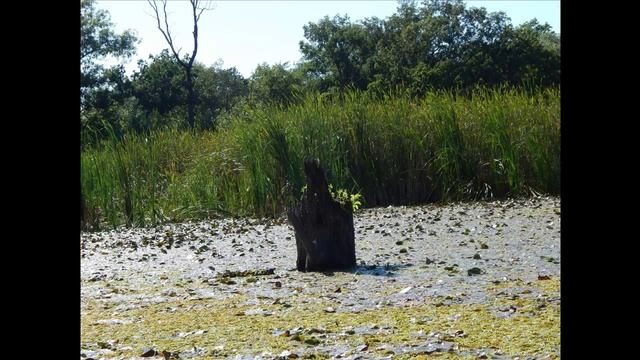 Затерянный остров смотреть онлайн