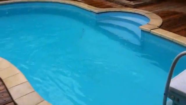 Отель Бахус Бассейн на Азовском море смотреть онлайн