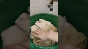 Как покрасить одежду в стиральной машине? Краситель "Обновит" Коричневый