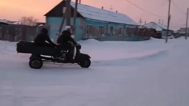 Это вам не альфы ? смотреть онлайн