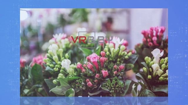 Салон цветов «Fan-Fan Tulpan (Фан-Фан Тюльпан)» | Минск, пр-т Независимости, 154 смотреть онлайн