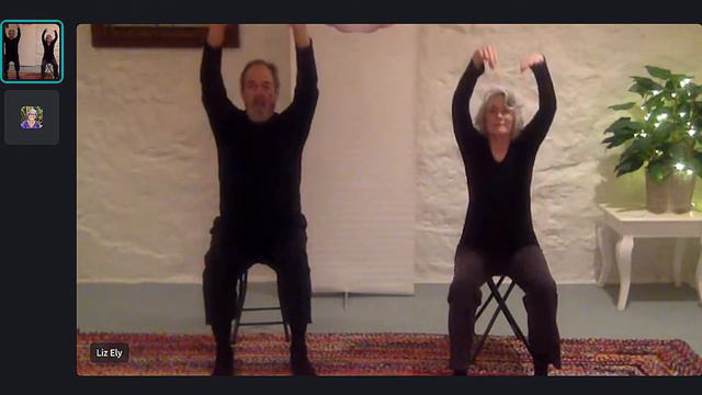 Sheng Zhen Healing Stage One with Liz Ely and David Ferrier смотреть онлайн