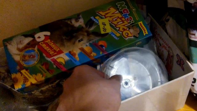 Содержание крыс🐭😻 смотреть онлайн