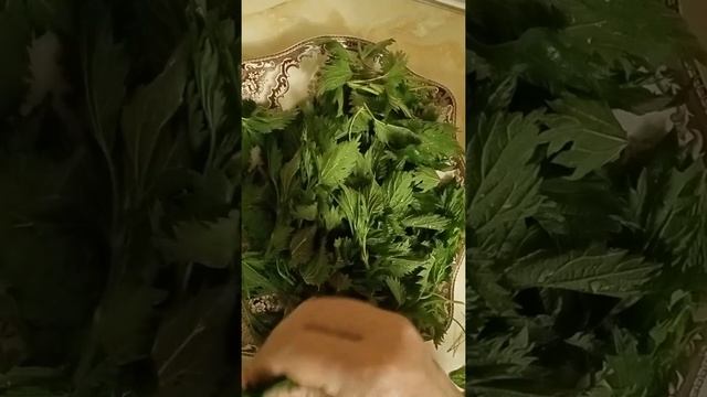 Крапива/Поговорим смотреть онлайн