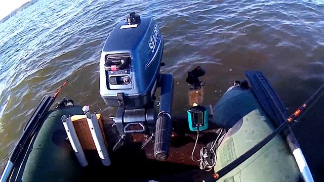 ЛОВЛЯ СОМА С КВОКОМ НА ЖИВЦА.ЗАБЕРИТЕ КВОК.КОНКУРС