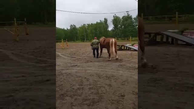 Советский тяжеловоз на прогулке смотреть онлайн