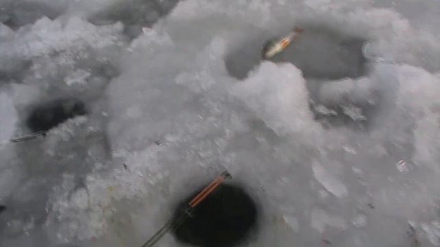 Обь первый лёд, первый окунь 2020-2022-2023! смотреть онлайн