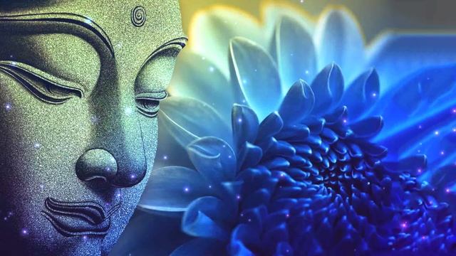 Tina Turner Nam Myoho Renge Kyo 2H Buddhist Mantra смотреть онлайн