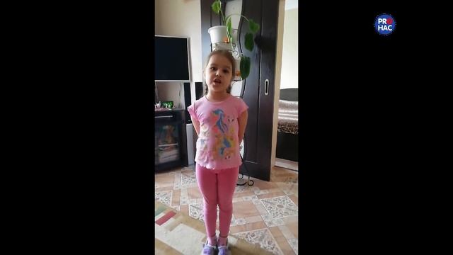 Стих «Шумел сурово брянский лес» смотреть онлайн