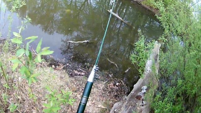 Поиск карася на Мастрюковских озёрах смотреть онлайн