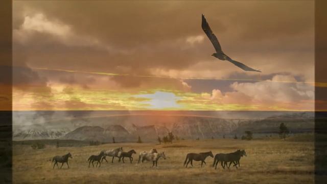 Ю Шевчук Постелите мне степь смотреть онлайн