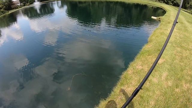 Duo Realis Spin Slays Them Again! смотреть онлайн