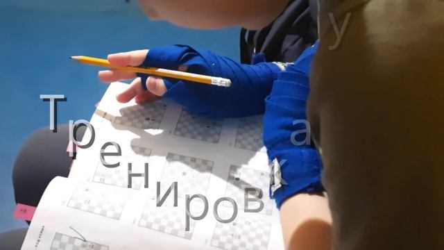 Тренировки по шахбоксу в Казани смотреть онлайн