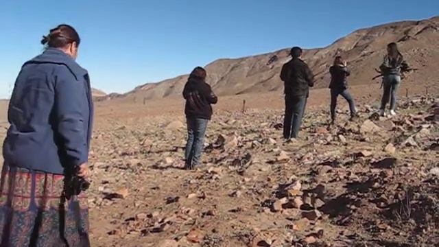 ARICA TRANSPORTES DE TURISMO EN DESIERTO MAS SECO Y LAGO CHUNGARA